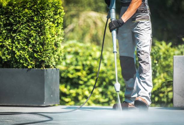 Trusted Ladd, IL Pressure Washing Services Experts