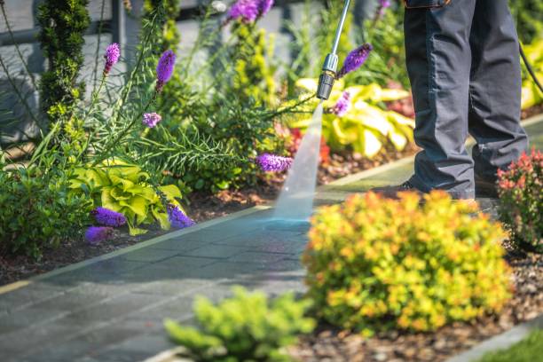 Best Driveway Cleaning and Restoration in Ladd, IL